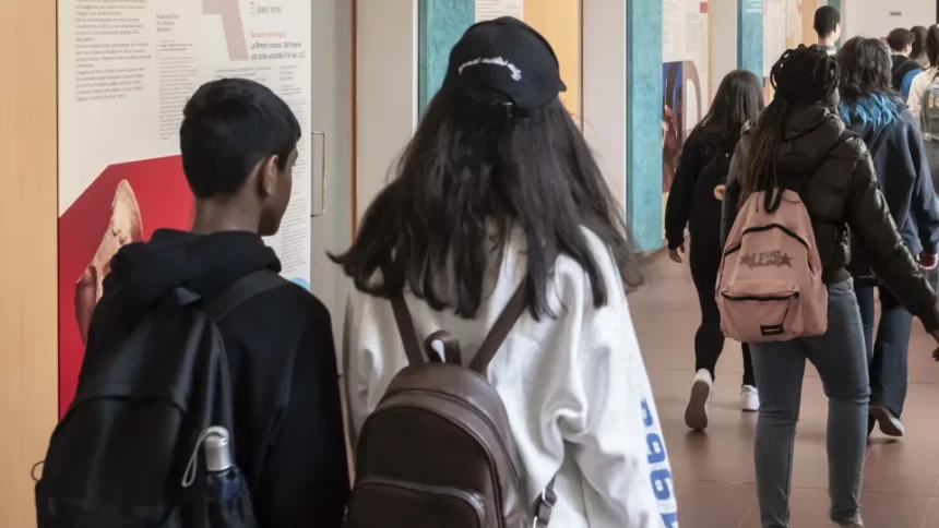 Boom di studenti nella primavera dei Musei di Rimini: oltre 30mila