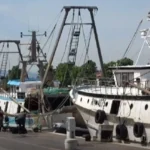 Pesca a Rimini, dalla Regione 693mila euro per la macchina del ghiaccio