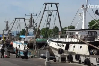 Pesca a Rimini, dalla Regione 693mila euro per la macchina del ghiaccio