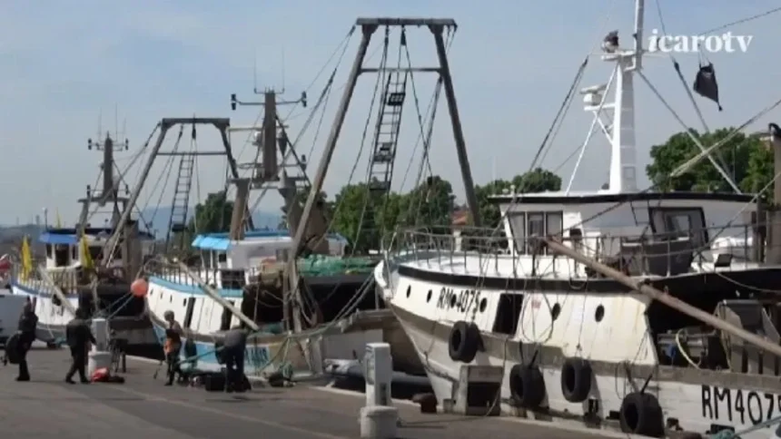 Pesca a Rimini, dalla Regione 693mila euro per la macchina del ghiaccio