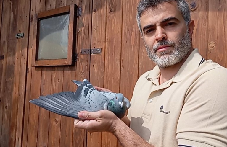San Marino – Casadei si prende Brindisi, quarta vittoria stagionale per i suoi colombi in una maratona del cielo da 592 chilometri
