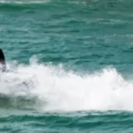 Moto d’acqua, Basta Plastica in Mare contro il ‘lunaparkismo’ poco sostenibile