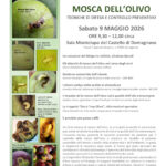 San Marino. Difesa dell’olivicoltura sammarinese. A Domagnano un incontro tecnico sulla principale avversità dell’olivicoltura: la Mosca dell’Olivo