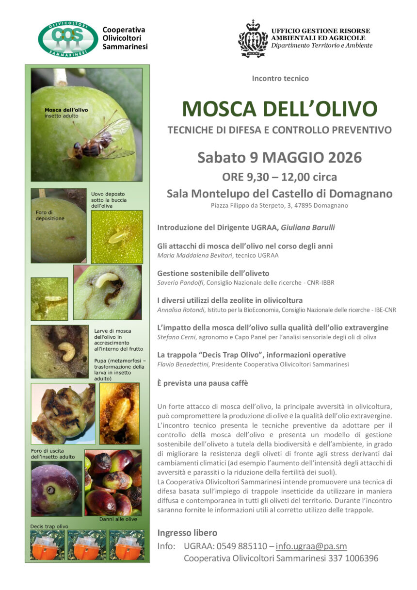 San Marino. Difesa dell’olivicoltura sammarinese. A Domagnano un incontro tecnico sulla principale avversità dell’olivicoltura: la Mosca dell’Olivo