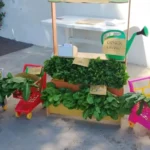 Teatro, orto e inglese. Tanti progetti alla scuola primaria Gabelli di Misano