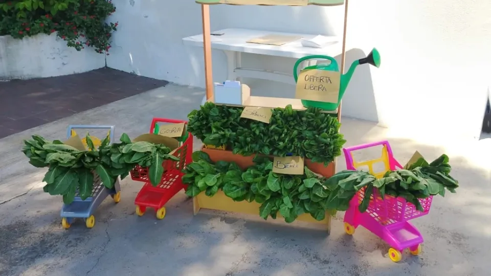 Teatro, orto e inglese. Tanti progetti alla scuola primaria Gabelli di Misano