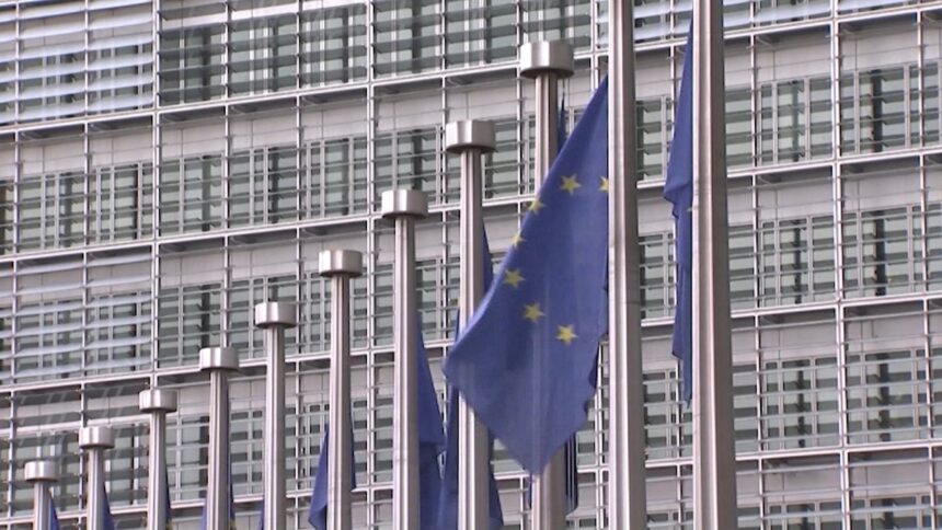 Accordo Ue: Rf e D-ML all’attacco sulla gestione Beccari. Giovagnoli (Psd): “Serve più incisività diplomatica”