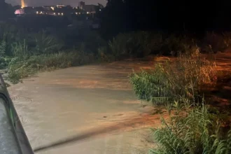 Monitoraggi Arpae sul mare. Nel riminese due rilevamenti sopra il limite