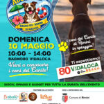 “Onde di Adozione”, il Canile Comunale di Rimini arriva in spiaggia al Bagno 80 Vidaloca