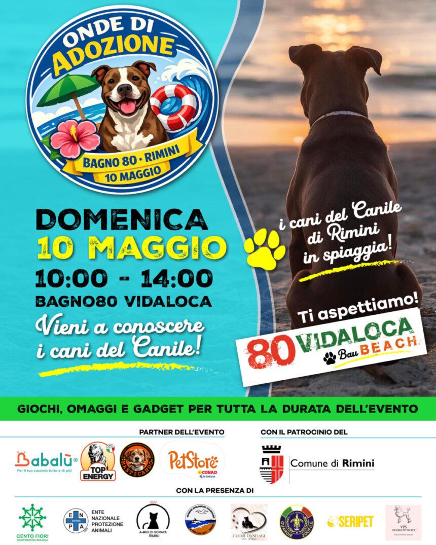 “Onde di Adozione”, il Canile Comunale di Rimini arriva in spiaggia al Bagno 80 Vidaloca