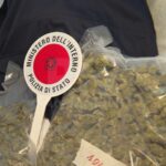 Beccati con 19 Kg tra hashish e marijuana: arrestati