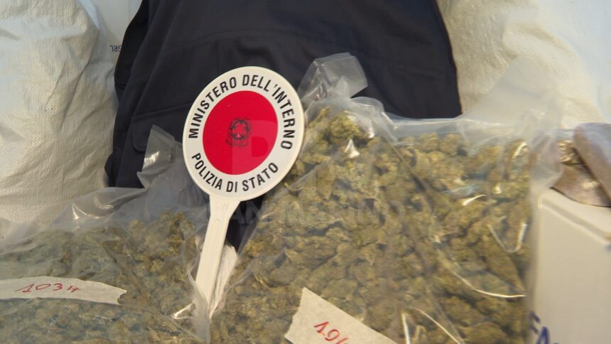 Beccati con 19 Kg tra hashish e marijuana: arrestati
