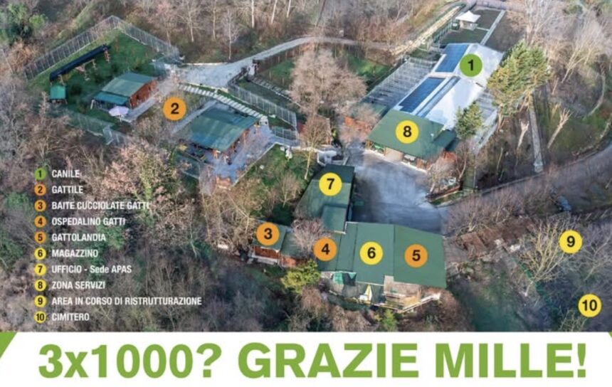 San Marino. Rifugio APAS: grazie alla generosità di tutti, la ristrutturazione prosegue con successo!