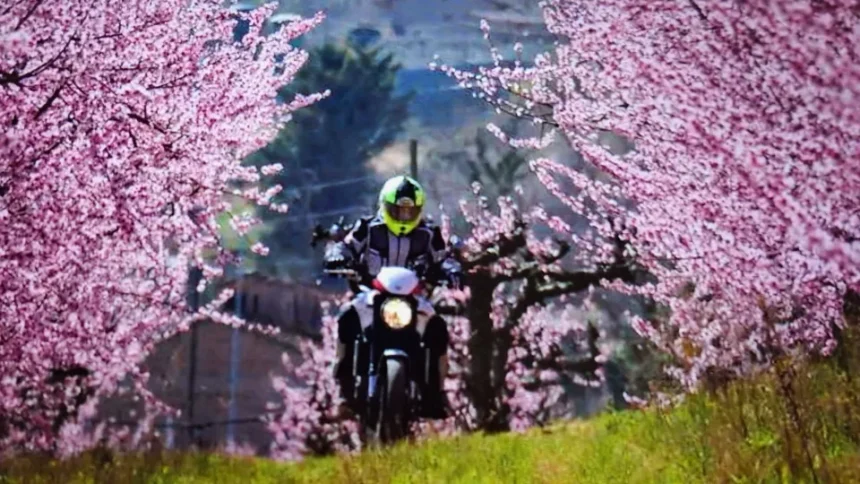 Costa Hotels. Il moto turismo nuovo segmento su cui puntare