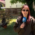 La colonia di pavoni di Punta Marina divide i residenti. Gli animalisti: “Nessun pericolo, devono restare”