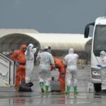 Hantavirus: cresce l’attenzione internazionale. L’Oms: “Non è emergenza globale”