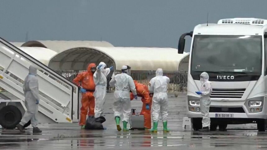 Hantavirus: cresce l’attenzione internazionale. L’Oms: “Non è emergenza globale”