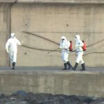 Hantavirus, cresce l’allerta: turista argentina ricoverata a Messina