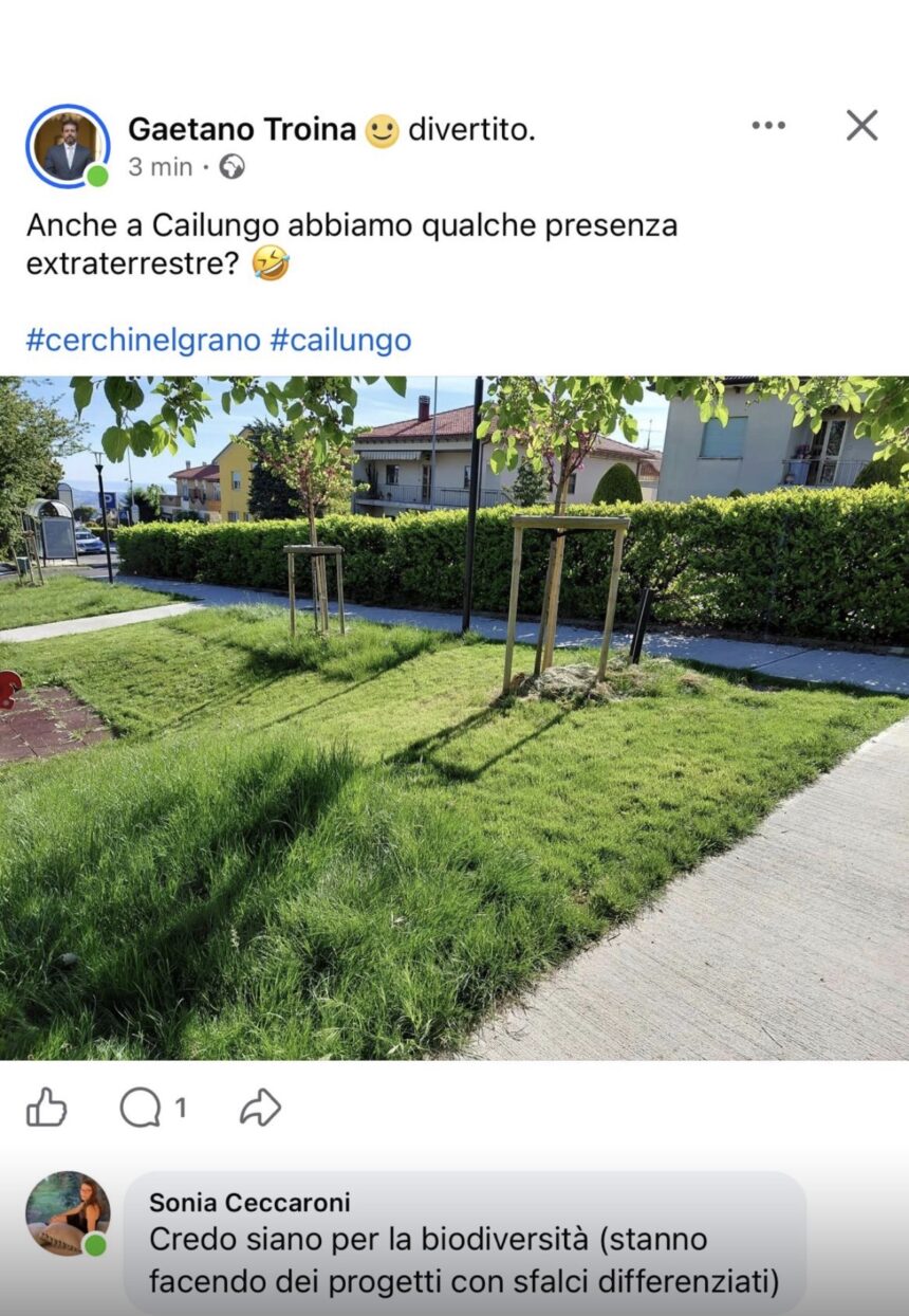 Cailungo, polemiche fuori bersaglio: il “Guardiano delle Pozzanghere colpisce ancora” Ancora un flop per Troina di Motus Liberi. … di un lettore