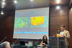 Olivicoltura sammarinese: alleanza per produrre un olio EVO di qualità