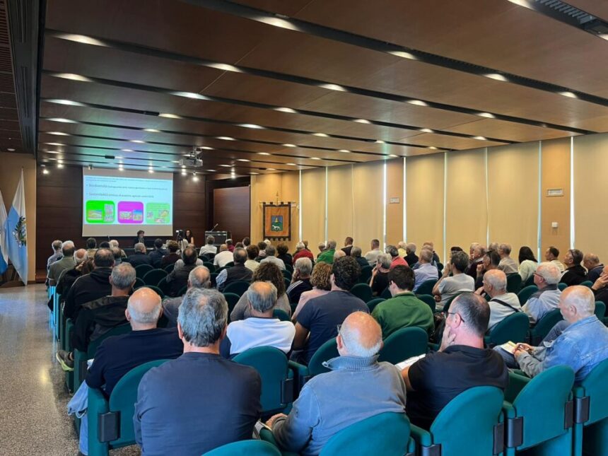 Olivicoltura sammarinese: l’incontro tecnico del 9 maggio 2026 segna l’avvio di un’alleanza per produrre un olio extravergine di qualità