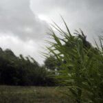 Protezione Civile San Marino. Allerta meteo, codice colore giallo per vento
