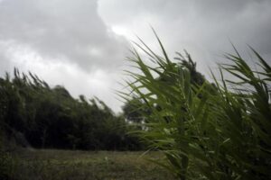Protezione Civile San Marino. Allerta meteo, codice colore giallo per vento