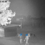 Furto al Parco degli Artisti di Rimini: appello social per la restituzione degli arredi