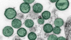 Hantavirus. I protocolli a San Marino ci sono?
