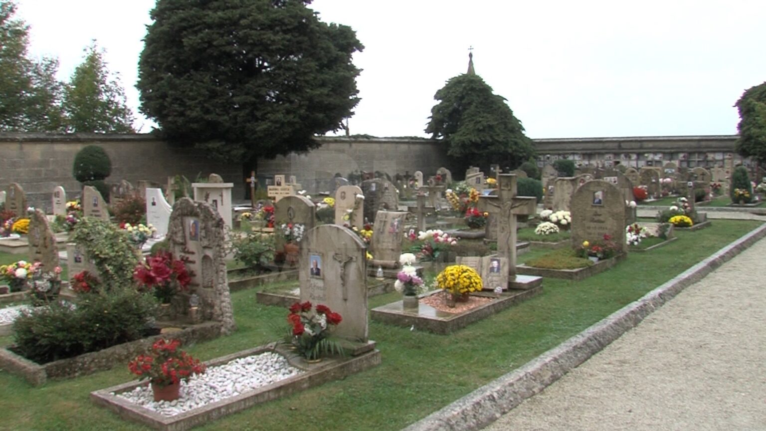 Completate 80 esumazioni dal cimitero di Montalbo