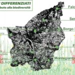 PERCHÉ L’ERBA È PIÙ ALTA IN ALCUNE ZONE DI BORGO MAGGIORE?