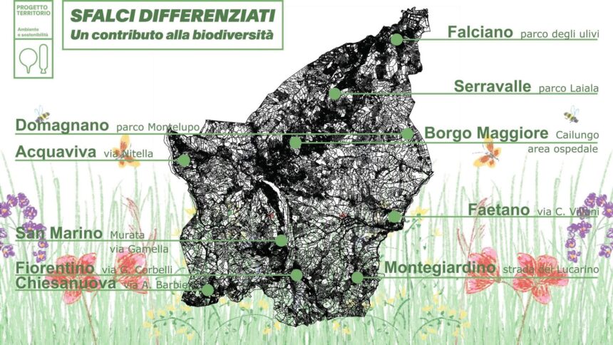 PERCHÉ L’ERBA È PIÙ ALTA IN ALCUNE ZONE DI BORGO MAGGIORE?