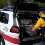 Vende cosmetici irregolari, interviene la Polizia Civile