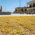 Bellariva, sfiorisce in dieci giorni la nuova piazza verde: è polemica sull’ex Colonia Enel