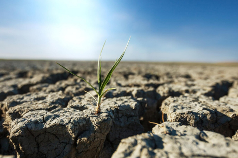 Giornata mondiale dell’ambiente: costruire oggi il territorio di domani