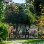 Parco della Resistenza a Riccione, arriva il bando per  la gestione del chiosco