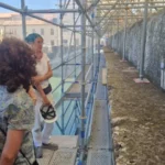 Ponte di Tiberio. Al lavoro i restauratori del Ponte di Rialto e dell’Arena