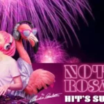La Notte Rosa 2026 arriva al clou: gli eventi di questa sera