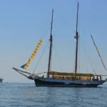 Blitz ‘No trivelle’ di Legambiente: sbloccare l’eolico offshore in Romagna