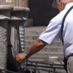 Con il Piano Caldo di Rimini monitorati duecento over 75. Le misure in campo