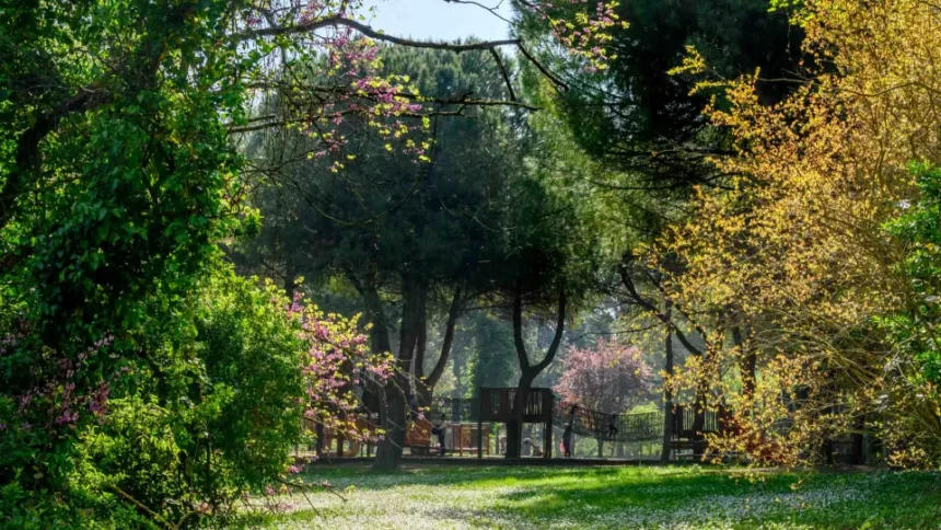 Parco della Resistenza: pubblicato il bando di gara per il chiosco-bar