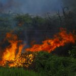 Saludecio Sotto Controllo: Conclusa la Bonifica Dopo il Vasto Incendio