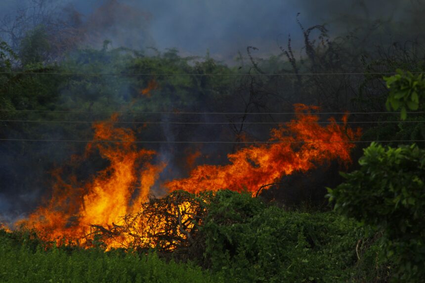 Saludecio Sotto Controllo: Conclusa la Bonifica Dopo il Vasto Incendio