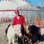 La realtà del circo con animali – oltre i pregiudizi, i fatti