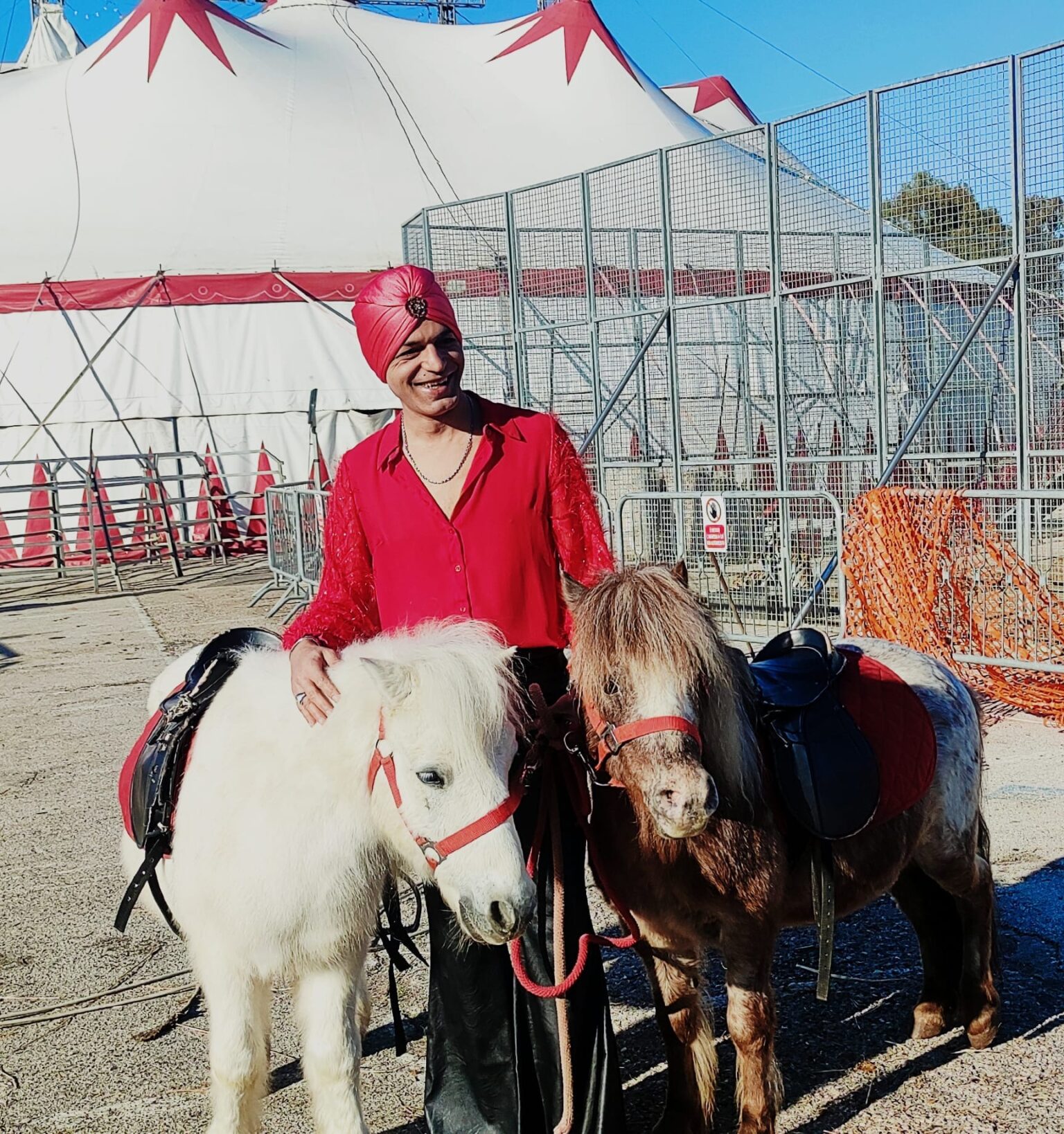 La realtà del circo con animali – oltre i pregiudizi, i fatti