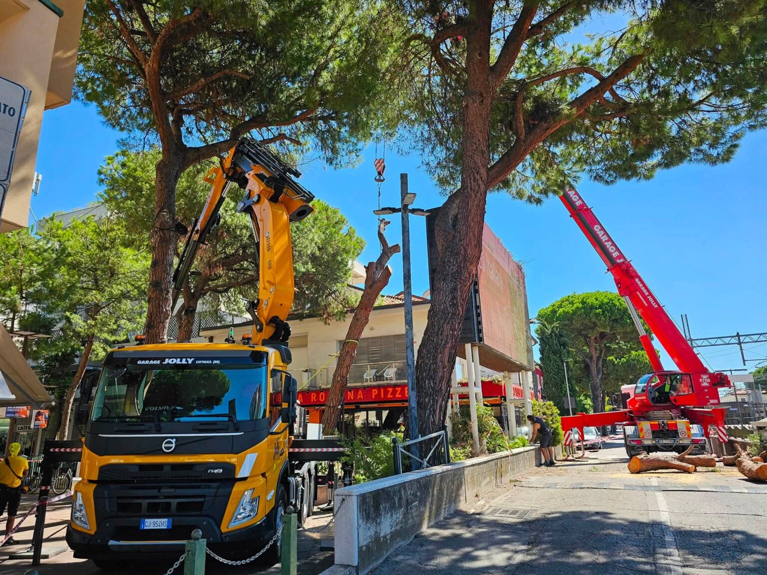 Riccione: cede un pino secolare, viabilità in tilt in viale Ceccarini