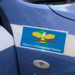 Vacanza interrotta per un latitante: arrestato a Rimini su mandato internazionale