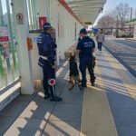 Maxi-sequestro di stupefacenti al capolinea: turisti in manette dopo il blitz sul Metromare