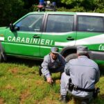 Caccia di frodo nel riminese: due denunce e sequestri dei Forestali