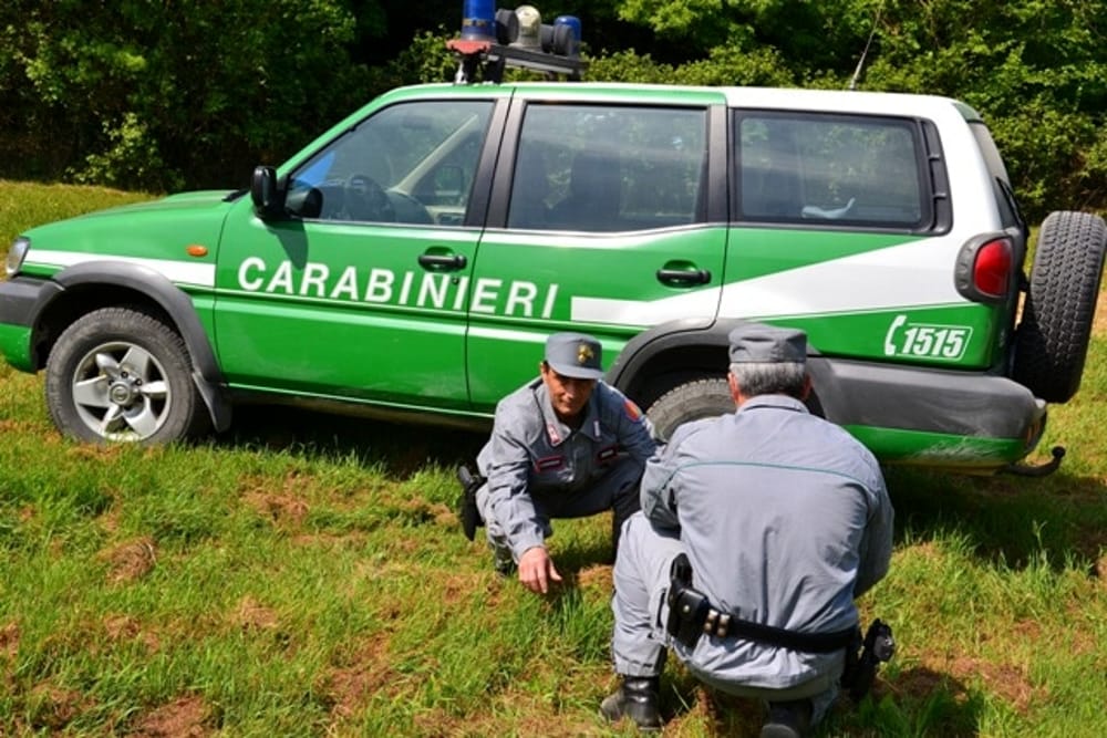 Caccia di frodo nel riminese: due denunce e sequestri dei Forestali